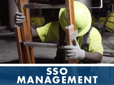 SSO Management